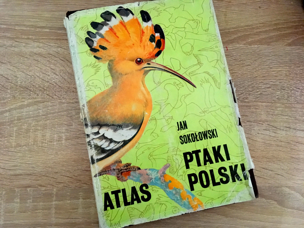 Atlas Ptaki Polski Jan Sokołowski okładka
