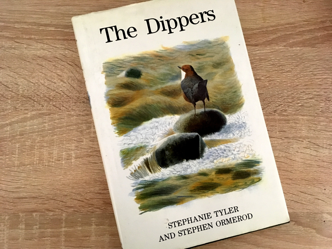 The Dippers Okładka